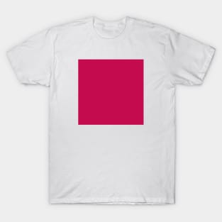 PLAIN SOLID Pictorial Carmine T-Shirt